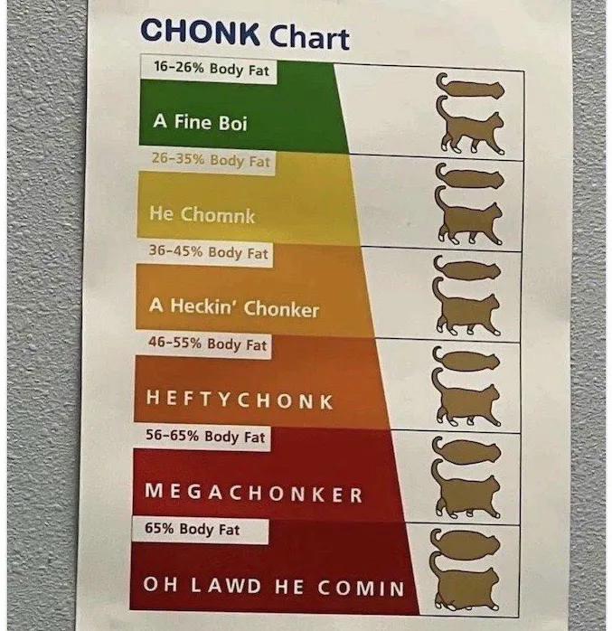 The Chonk Chart