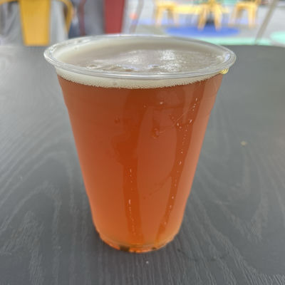 Medford Brewing Company West Coast IPA (India Pale Ale)
